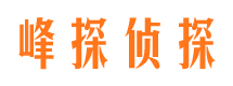 钢城峰探私家侦探公司